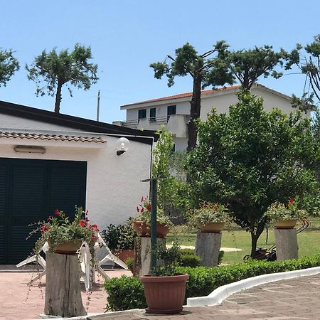Villa Il Carrubo - Basilicata Pisticci Exterior photo